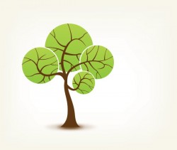 Spring Tree Vector
