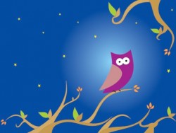 The night owl Vector