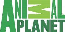 Animal Planet Logo