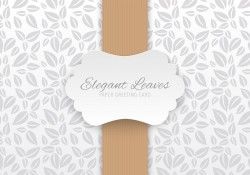 Elegant Paper Greeting Card Vector