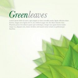 Green Leaves Vector