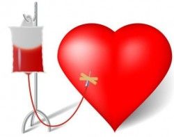 Heart with healthy medical background vector 06