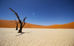 Namib Coastal Desert 4K Wallpapers