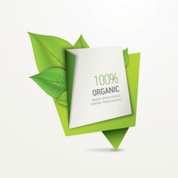 Organic Paper Banner