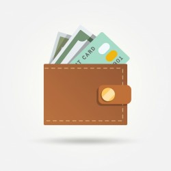 Wallet with bill and credit card in flat design