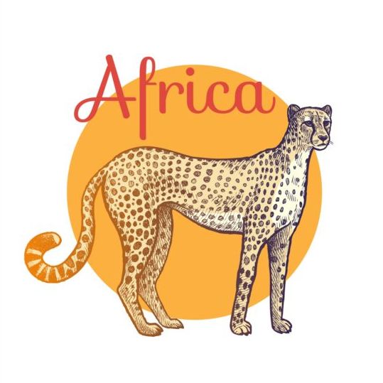 Africa leopard vector
