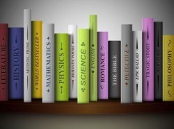 Bookshelf and books vector 02