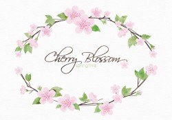 Cherry Blossom Branches