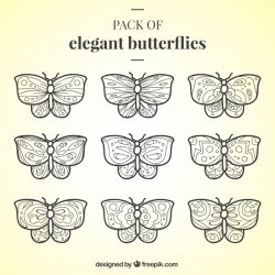 Collection of nine butterflies with ornamental designs