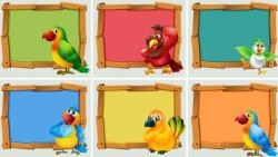 Cute bird with wooden frame vector