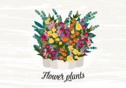 Flower Plants Illustration