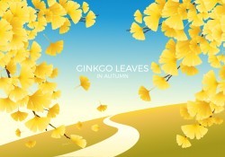 Ginkgo Leaves Autumn Landscape