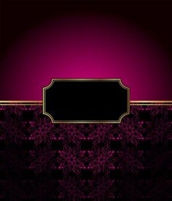 Ornate decor background with retro frame vectors 07