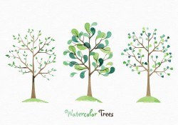Watercolor Trees Vector