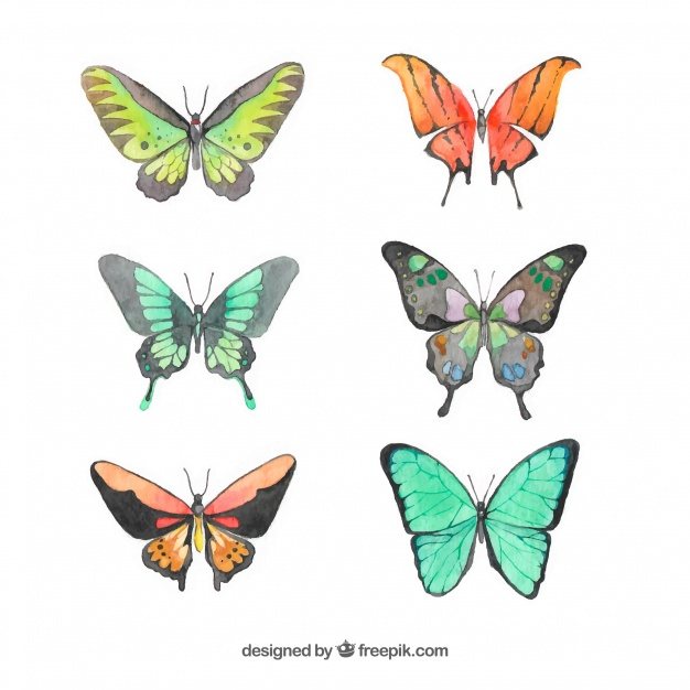 Set of watercolor butterflies