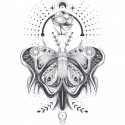 Vector illustration of a sketch, tattoo art butterfly in abstract style, mystical, astrological  ...