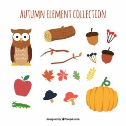 Autumn collection of colourful elements