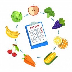Diet plan schedule