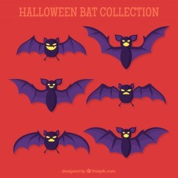 Set of bats in flat design