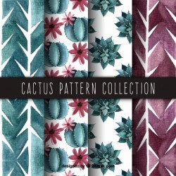 Elegant pack of watercolor cactus patterns