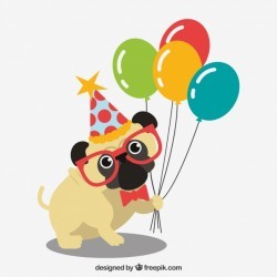 Funny pug with birthday elements