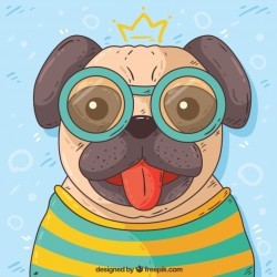 Hand drawn pug with glasses