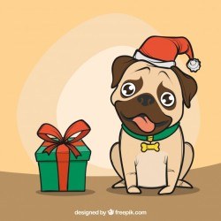 Hand drawn pug with santa hat