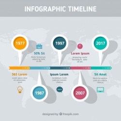 Infographic with professional timeline