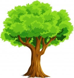 Colorful Natural Tree Icons PNG