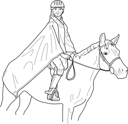 Horse and rider Icons PNG