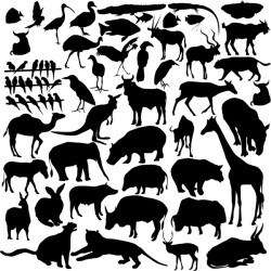 Wild animal silhouette set vector 01