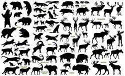 Wild animal silhouette set vector 02