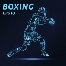 Boxing with points lines 3D vector 01