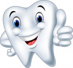 Funny cartoon tooth vector illustration 03