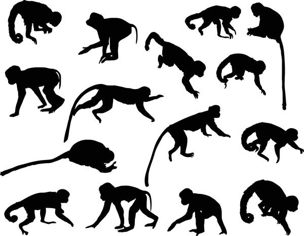 animal monkey silhouette vector 01 png