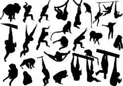 animal monkey silhouette vector 02