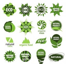Abstract eco logos design vector