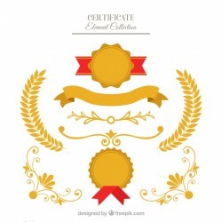 Certificate elements collection in flat style