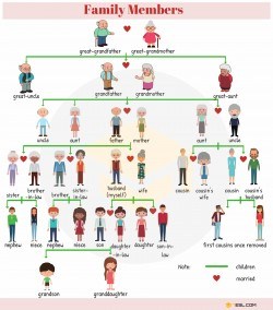 Family Members Tree