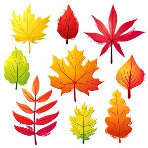 Autumn leaves set vector 02