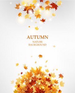 Autumn leaves with nature background vectors