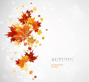 simple autumn leaves background vector