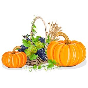 Harvesting still life vector illustration 05