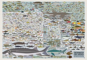 FRESHWATER FISH OF AMERICA