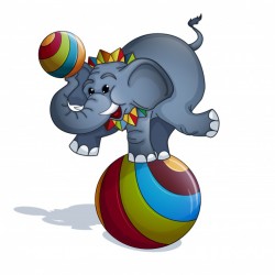 Elephant on the ball