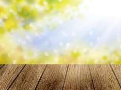 Wooden braod with sunlight background vector