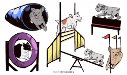 Dog Agility Equipment Design Set