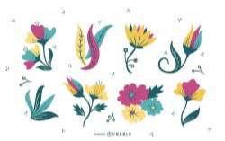 Flower and Leaves Illustration Set