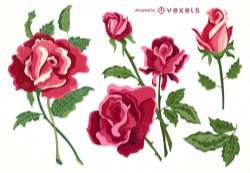 Set of isolated roses collection