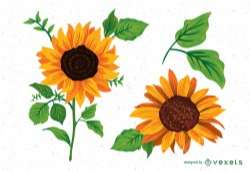 Sunflower illustrations pack